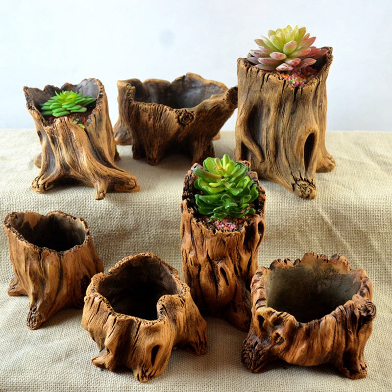 Piquets en bois d'imitation, r - Echeveria Succulent avis et prix