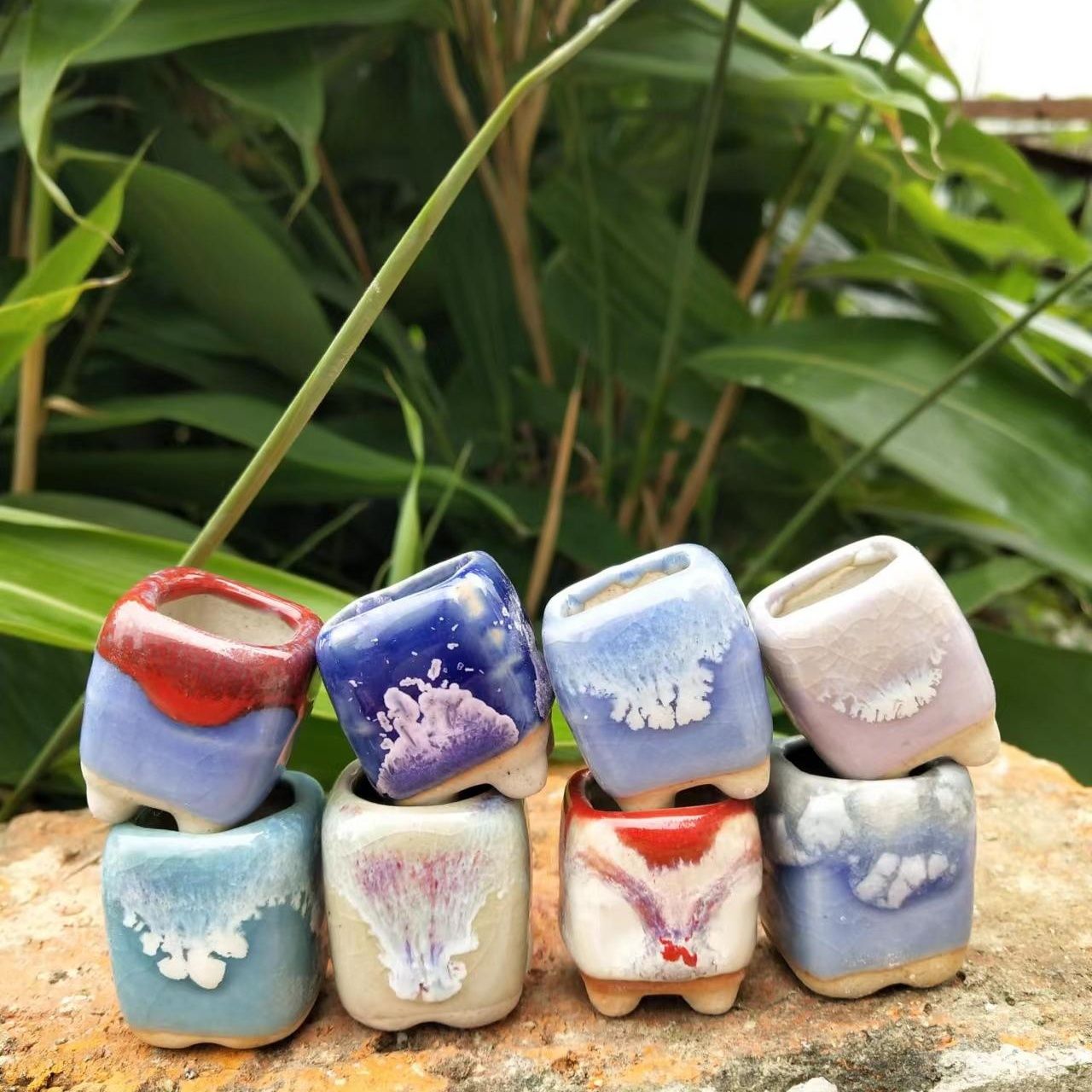 Mini pot de fleurs en céramiqu - Echeveria Succulent avis et prix