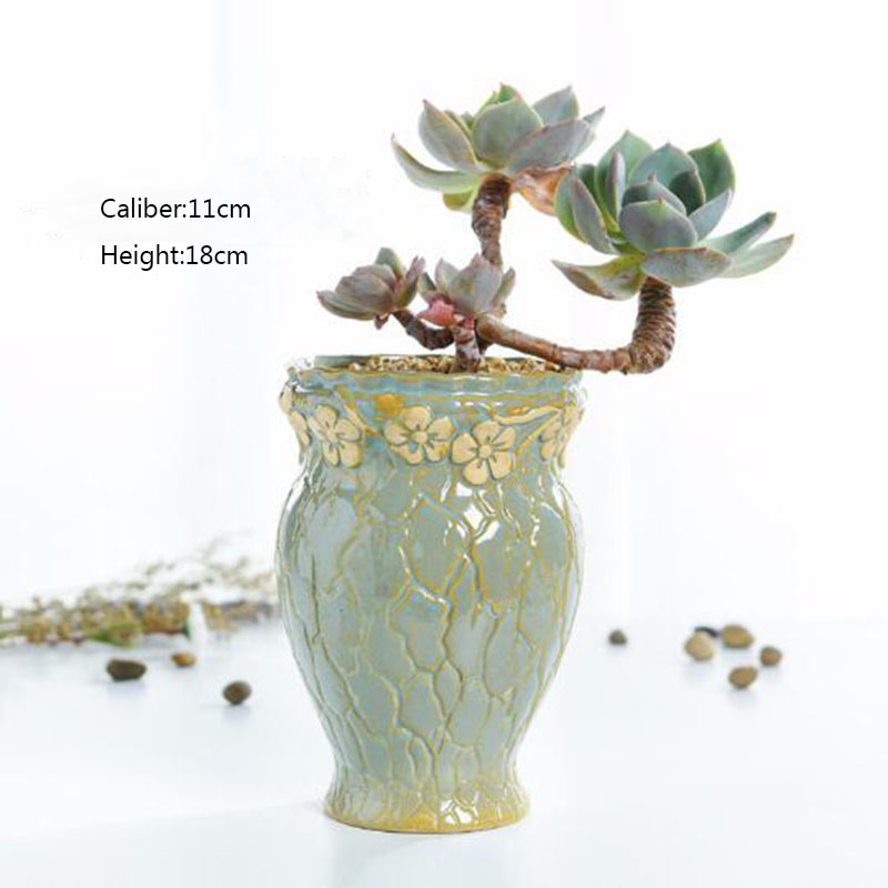 Pot de fleurs de petite et moy - Echeveria Succulent avis et prix